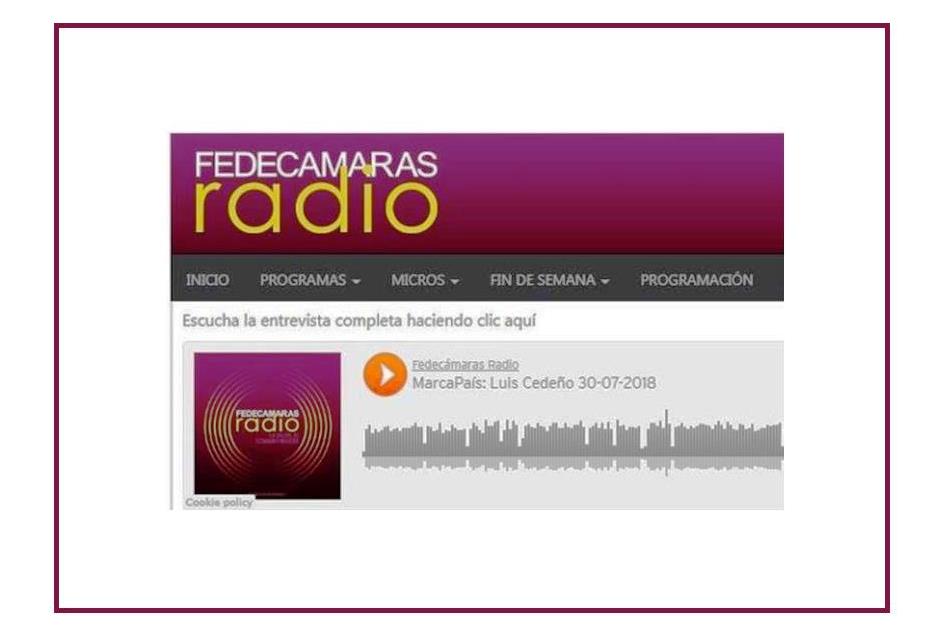 Bandas Delictivas Lideran El Crimen Organizado En Venezuela / Fedecámaras Radio – Programa “Marca País”